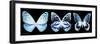 Miss Butterfly X-Ray Panoramic Black III-Philippe Hugonnard-Framed Photographic Print