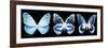 Miss Butterfly X-Ray Panoramic Black III-Philippe Hugonnard-Framed Premium Photographic Print