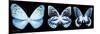 Miss Butterfly X-Ray Panoramic Black III-Philippe Hugonnard-Mounted Photographic Print