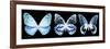 Miss Butterfly X-Ray Panoramic Black III-Philippe Hugonnard-Framed Photographic Print