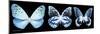 Miss Butterfly X-Ray Panoramic Black III-Philippe Hugonnard-Mounted Photographic Print