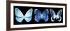 Miss Butterfly X-Ray Panoramic Black-Philippe Hugonnard-Framed Photographic Print