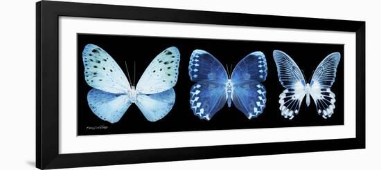 Miss Butterfly X-Ray Panoramic Black-Philippe Hugonnard-Framed Photographic Print