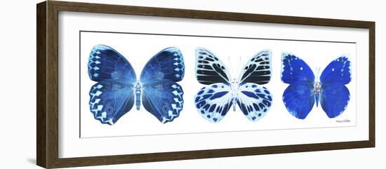 Miss Butterfly X-Ray Panoramic White II-Philippe Hugonnard-Framed Photographic Print