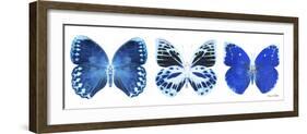 Miss Butterfly X-Ray Panoramic White II-Philippe Hugonnard-Framed Photographic Print