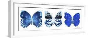 Miss Butterfly X-Ray Panoramic White II-Philippe Hugonnard-Framed Photographic Print