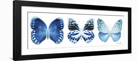 Miss Butterfly X-Ray Panoramic White III-Philippe Hugonnard-Framed Photographic Print