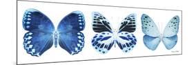 Miss Butterfly X-Ray Panoramic White III-Philippe Hugonnard-Mounted Photographic Print