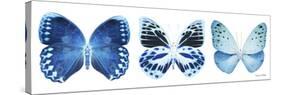 Miss Butterfly X-Ray Panoramic White III-Philippe Hugonnard-Stretched Canvas