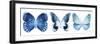 Miss Butterfly X-Ray Panoramic White IV-Philippe Hugonnard-Framed Photographic Print