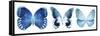 Miss Butterfly X-Ray Panoramic White IV-Philippe Hugonnard-Framed Stretched Canvas