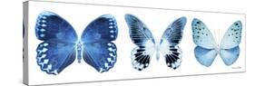 Miss Butterfly X-Ray Panoramic White IV-Philippe Hugonnard-Stretched Canvas