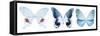 Miss Butterfly X-Ray Panoramic White-Philippe Hugonnard-Framed Stretched Canvas
