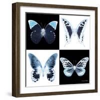 Miss Butterfly X-Ray Square II-Philippe Hugonnard-Framed Photographic Print