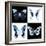 Miss Butterfly X-Ray Square II-Philippe Hugonnard-Framed Photographic Print