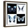 Miss Butterfly X-Ray Square II-Philippe Hugonnard-Framed Photographic Print