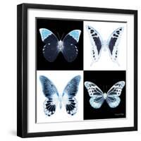 Miss Butterfly X-Ray Square II-Philippe Hugonnard-Framed Photographic Print