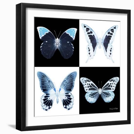 Miss Butterfly X-Ray Square II-Philippe Hugonnard-Framed Photographic Print