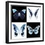 Miss Butterfly X-Ray Square II-Philippe Hugonnard-Framed Photographic Print