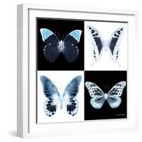 Miss Butterfly X-Ray Square II-Philippe Hugonnard-Framed Photographic Print