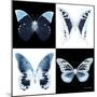 Miss Butterfly X-Ray Square II-Philippe Hugonnard-Mounted Photographic Print