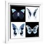 Miss Butterfly X-Ray Square II-Philippe Hugonnard-Framed Photographic Print