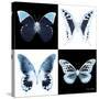 Miss Butterfly X-Ray Square II-Philippe Hugonnard-Stretched Canvas