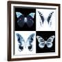 Miss Butterfly X-Ray Square II-Philippe Hugonnard-Framed Photographic Print