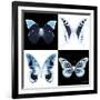Miss Butterfly X-Ray Square II-Philippe Hugonnard-Framed Photographic Print