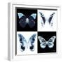 Miss Butterfly X-Ray Square II-Philippe Hugonnard-Framed Photographic Print