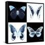 Miss Butterfly X-Ray Square II-Philippe Hugonnard-Framed Stretched Canvas