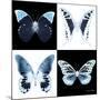 Miss Butterfly X-Ray Square II-Philippe Hugonnard-Mounted Photographic Print