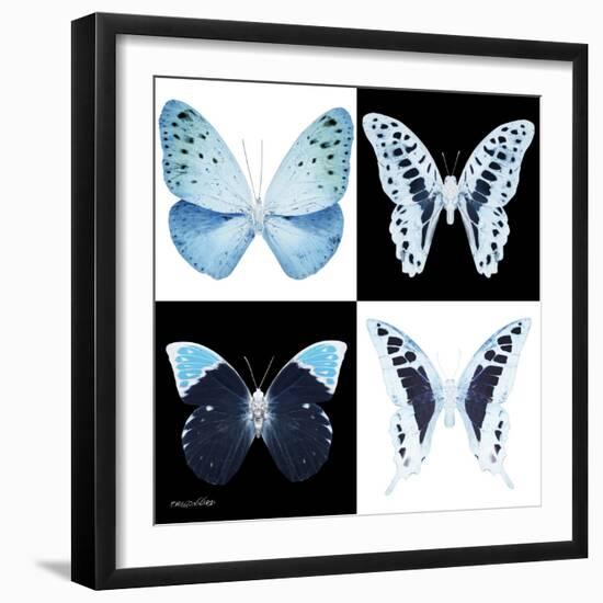 Miss Butterfly X-Ray Square-Philippe Hugonnard-Framed Photographic Print