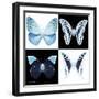 Miss Butterfly X-Ray Square-Philippe Hugonnard-Framed Photographic Print