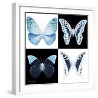 Miss Butterfly X-Ray Square-Philippe Hugonnard-Framed Photographic Print