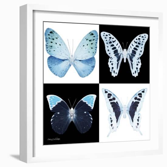 Miss Butterfly X-Ray Square-Philippe Hugonnard-Framed Photographic Print