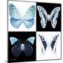 Miss Butterfly X-Ray Square-Philippe Hugonnard-Mounted Photographic Print