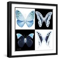 Miss Butterfly X-Ray Square-Philippe Hugonnard-Framed Premium Photographic Print