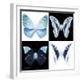 Miss Butterfly X-Ray Square-Philippe Hugonnard-Framed Premium Photographic Print