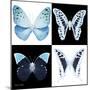 Miss Butterfly X-Ray Square-Philippe Hugonnard-Mounted Premium Photographic Print