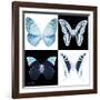 Miss Butterfly X-Ray Square-Philippe Hugonnard-Framed Photographic Print