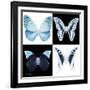 Miss Butterfly X-Ray Square-Philippe Hugonnard-Framed Photographic Print