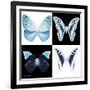 Miss Butterfly X-Ray Square-Philippe Hugonnard-Framed Photographic Print