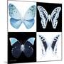 Miss Butterfly X-Ray Square-Philippe Hugonnard-Mounted Photographic Print