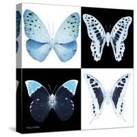 Miss Butterfly X-Ray Square-Philippe Hugonnard-Stretched Canvas