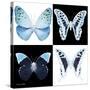 Miss Butterfly X-Ray Square-Philippe Hugonnard-Stretched Canvas