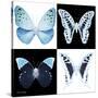 Miss Butterfly X-Ray Square-Philippe Hugonnard-Stretched Canvas