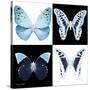 Miss Butterfly X-Ray Square-Philippe Hugonnard-Stretched Canvas