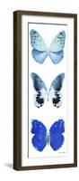 Miss Butterfly X-Ray White Pano II-Philippe Hugonnard-Framed Photographic Print