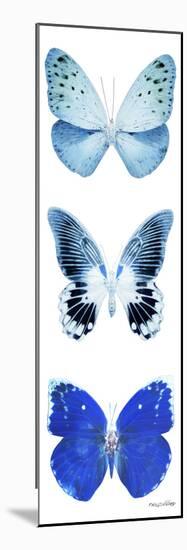 Miss Butterfly X-Ray White Pano II-Philippe Hugonnard-Mounted Photographic Print
